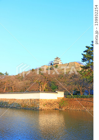 香川県丸亀市、丸亀城の風景 香川県丸亀市、丸亀城の風景 139932254