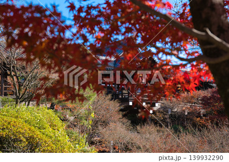 紅葉フレームの中の日本建築 139932290