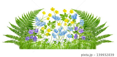 blooming spring wild flowers in the green grass isolated on white background blooming spring wild flowers in the green grass isolated on white background 139932839