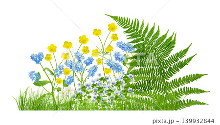 blooming spring wild flowers in the green grass isolated on white background 139932844