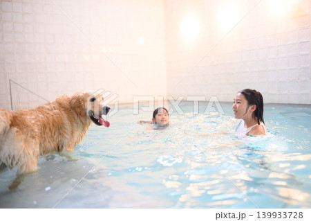 犬と子供たちのプール遊び 139933728