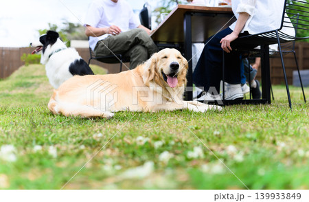 芝生でくつろぐ犬と人々 芝生でくつろぐ犬と人々 139933849