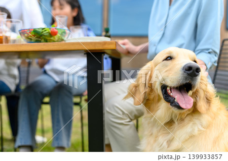 犬と楽しむ屋外の食事 犬と楽しむ屋外の食事 139933857