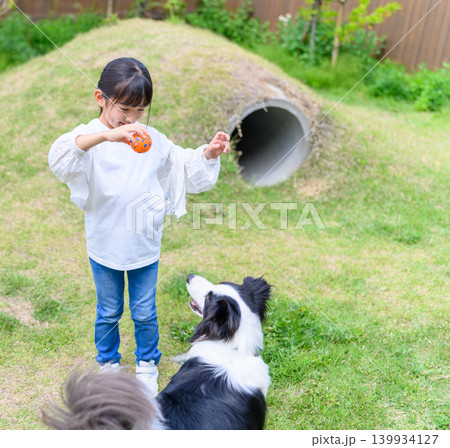 少女と犬、ボール遊び 少女と犬、ボール遊び 139934127