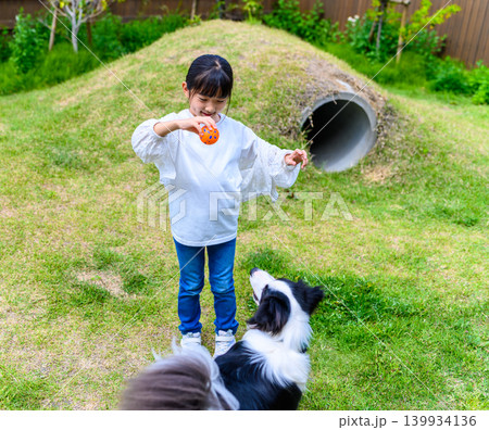 子供と犬、屋外で遊ぶ 子供と犬、屋外で遊ぶ 139934136