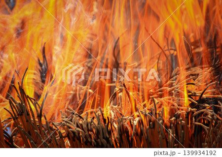 Close-Up Of Burning Incense Sticks With Bright Flames And Curling Smoke At Ritual Close-Up Of Burning Incense Sticks With Bright Flames And Curling Smoke At Ritual 139934192
