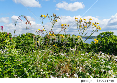 Falmouth at the coast of Cornwall in England 139934746