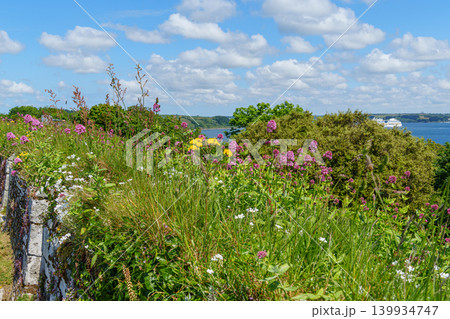 Falmouth at the coast of Cornwall in England 139934747