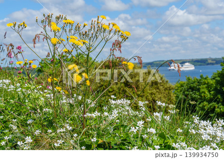 Falmouth at the coast of Cornwall in England 139934750