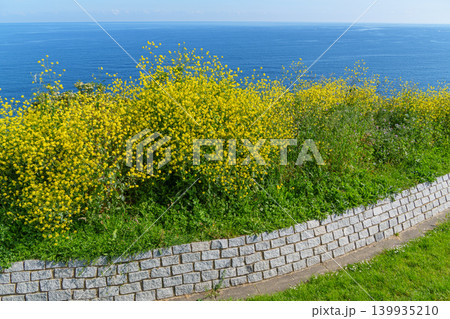 the city of Gijon in Spain the city of Gijon in Spain 139935210