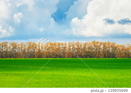 green grass field with blue sky and white clouds in gardening and landscape green grass field with blue sky and white clouds in gardening and landscape 139935699