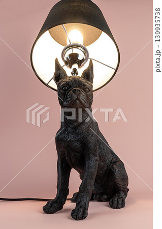 Light lamp growing in the room Light lamp growing in the room 139935738