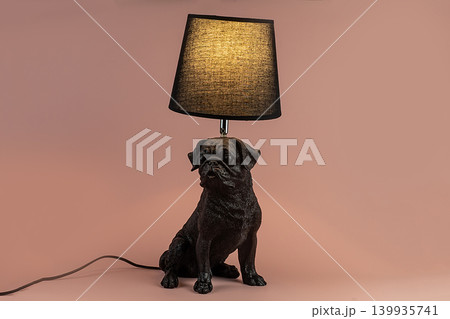 Light lamp growing in the room Light lamp growing in the room 139935741