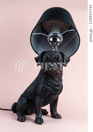 Light lamp growing in the room 139935742