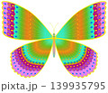 Colorful Decorative Butterfly Vector Illustration 139935795