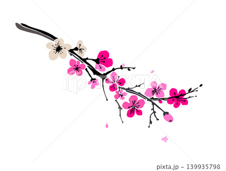 Beautiful sakura tree branch isolated on white background. Tenderness spring background. Japanese cherry blossom. Blooming apple flowers. Wedding card with text place. Stock vector illustration 139935798