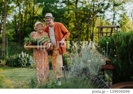 Senior couple working in garden during spring day. 139936099