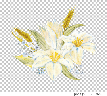 White lily bouquet with golden wheat ears and baby breath for floral background, decorative arrangement and invitation stationery design. For first communion, wedding, baptism greeting card. Isolated White lily bouquet with golden wheat ears and baby breath for floral background, decorative arrangement and invitation stationery design. For first communion, wedding, baptism greeting card. Isolated 139936406