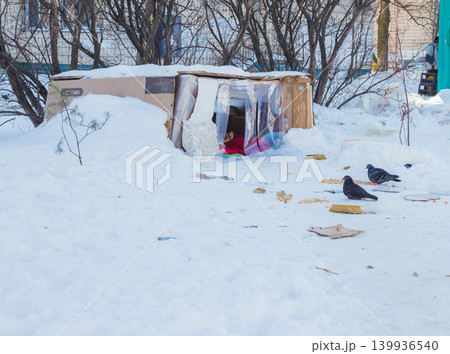 Shelter (house) from old boxes for stray dogs in cold winter Shelter (house) from old boxes for stray dogs in cold winter 139936540