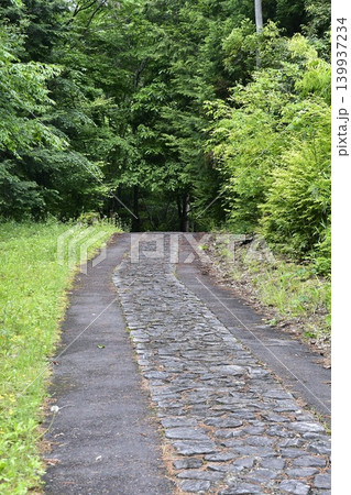 緑に囲まれた道 緑に囲まれた道 139937234