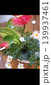 水に浮かぶ花 139937461