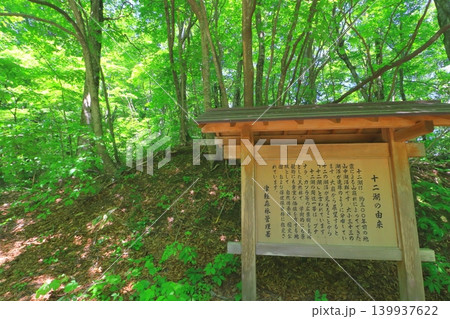白神山地・十二湖(新緑のブナ林・青森県深浦町) 白神山地・十二湖(新緑のブナ林・青森県深浦町) 139937622