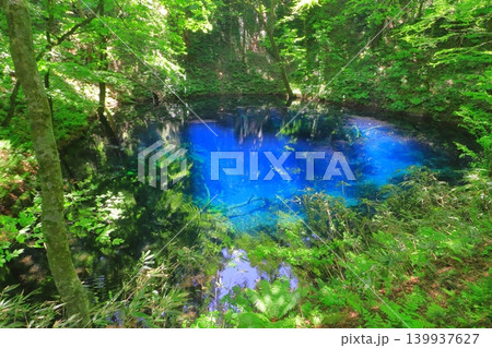 青池(十二湖・白神山地・青森県深浦町) 青池(十二湖・白神山地・青森県深浦町) 139937627