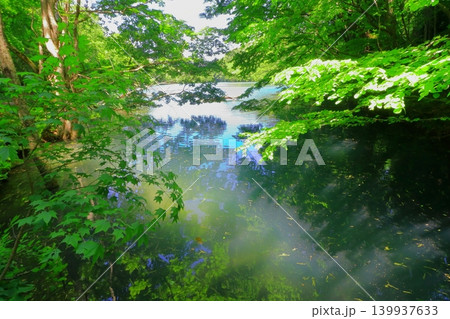 白神山地・十二湖(青森県深浦町) 白神山地・十二湖(青森県深浦町) 139937633