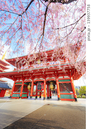 浅草寺宝蔵門と枝垂れ桜の春景色 浅草寺宝蔵門と枝垂れ桜の春景色 139937758