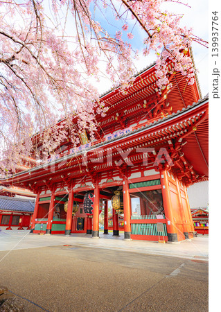 浅草寺宝蔵門と枝垂れ桜の春景色 浅草寺宝蔵門と枝垂れ桜の春景色 139937764