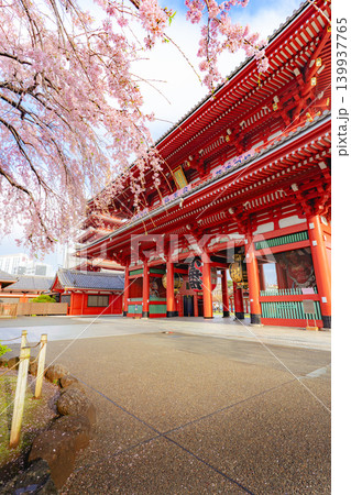 浅草寺宝蔵門と枝垂れ桜の春景色 浅草寺宝蔵門と枝垂れ桜の春景色 139937765