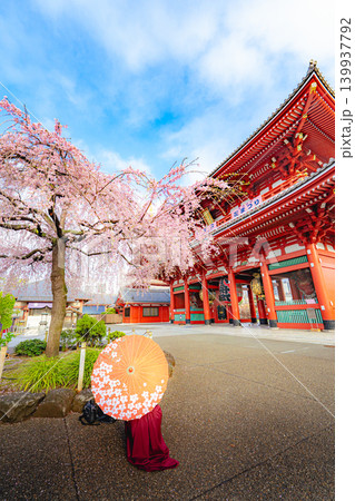浅草寺宝蔵門と枝垂れ桜と和傘の春風景 浅草寺宝蔵門と枝垂れ桜と和傘の春風景 139937792