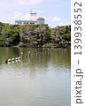 福岡市の大濠公園の水鳥 139938552