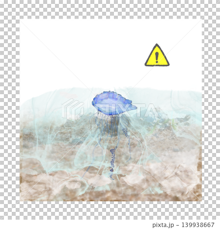 Portuguese man-of-war, jellyfish, dangerous creature, sea, beach, swimming, caution, warning, danger, waves, shoreline, shallow water, drifting Portuguese man-of-war, jellyfish, dangerous creature, sea, beach, swimming, caution, warning, danger, waves, shoreline, shallow water, drifting 139938667