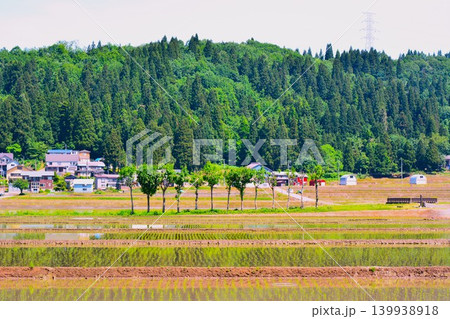 初夏田植えが終わった田園のハサ木風景 初夏田植えが終わった田園のハサ木風景 139938918
