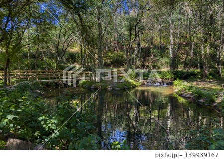 Wooden Footbridge Over a Calm Pond in Parque de Lazer de Nadais Portugal 139939167
