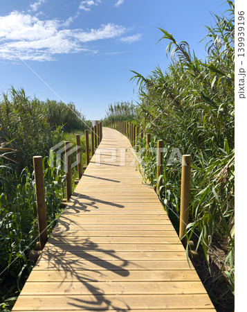 Wooden boardwalk through dense river reeds leading to the sea in Sao Felix da Marinha Wooden boardwalk through dense river reeds leading to the sea in Sao Felix da Marinha 139939196