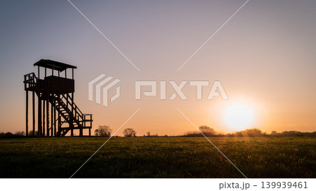 Timelapse of winter or spring field 139939461