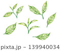 茶葉の手描き水彩イラストセット 茶葉の手描き水彩イラストセット 139940034