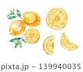 レモンの手描き水彩イラストセット レモンの手描き水彩イラストセット 139940035