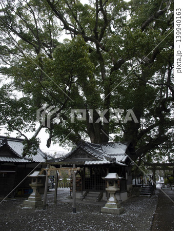 雪の藤白神社 雪の藤白神社 139940163
