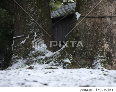雪の藤白神社 雪の藤白神社 139940164