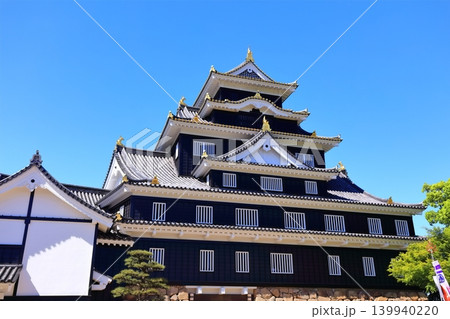 【岡山県】春の岡山城（春の鳥城灯源郷） 139940220
