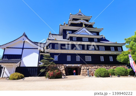 【岡山県】春の岡山城（春の鳥城灯源郷） 139940222