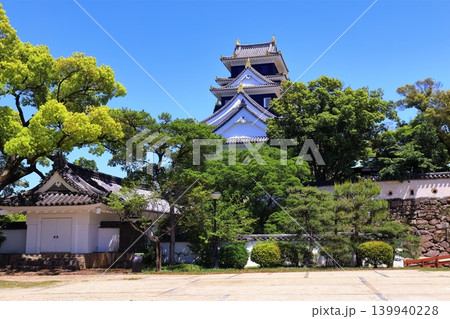 【岡山県】春の岡山城（春の鳥城灯源郷） 139940228