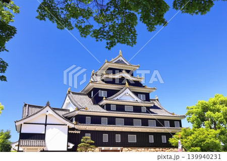 【岡山県】春の岡山城（春の鳥城灯源郷） 139940231
