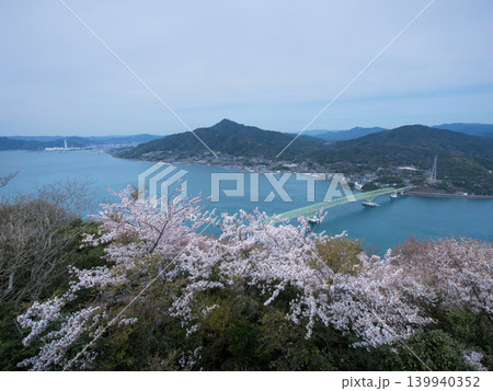 大島大橋と桜 屋代島 大島大橋と桜 屋代島 139940352