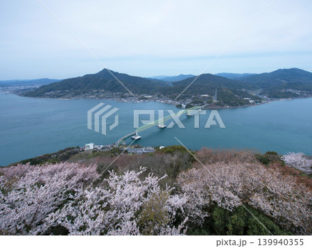 大島大橋と桜 屋代島 大島大橋と桜 屋代島 139940355