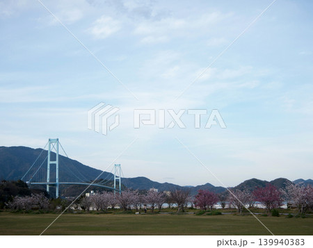 桜と安芸灘大橋 下蒲刈島 桜と安芸灘大橋 下蒲刈島 139940383