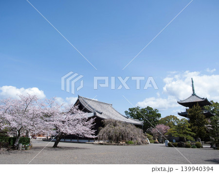 桜と道成寺 139940394